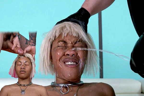 Spit And Piss On Africa 2023 [Pussy Eating, Lesbian | HD] (Mp4/1000 MB)