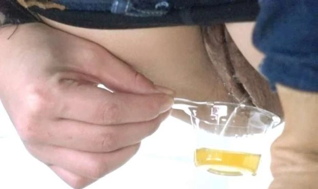 Voyeur Toilet 2025 [Piss Swapping, Wetting | SD] (MPEG-4/513 MB)