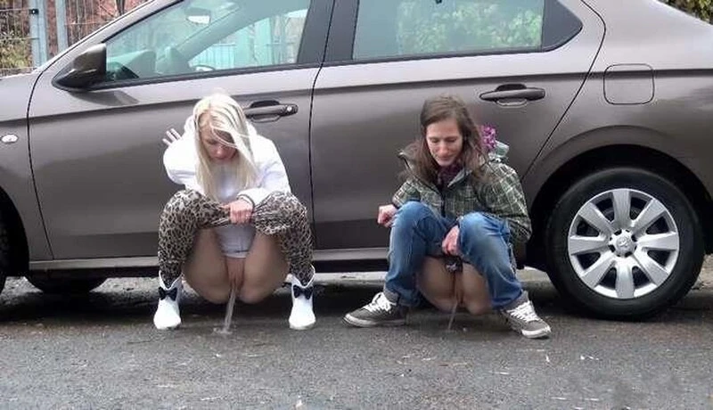 Ashley X in Video - Fast And Slow 2025 [Toilet, Piss Swllowing | UltraHD/4K] (MPEG-4/410 MB)